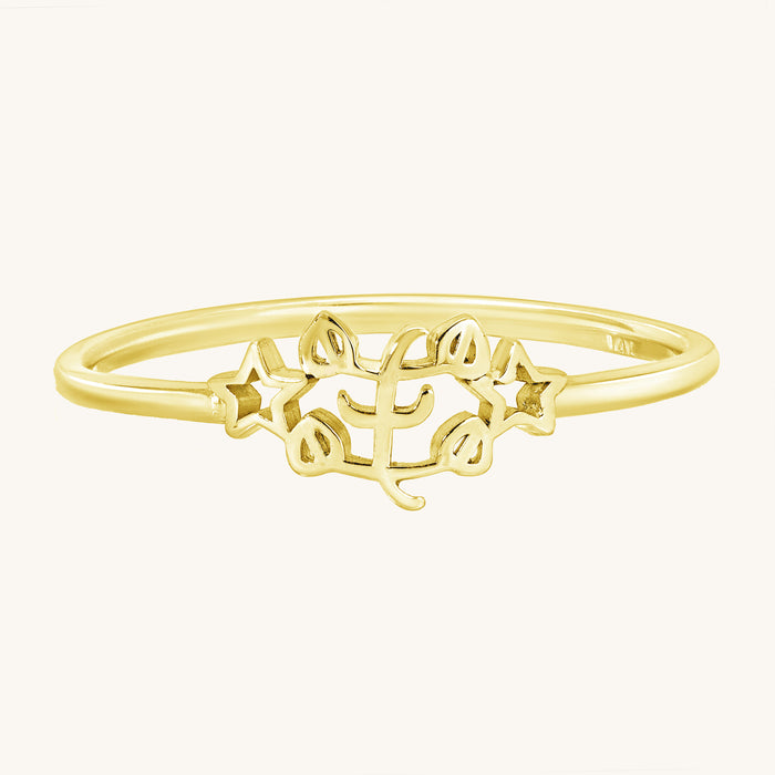 Petite Cut Out Baha’i Ringstone Symbol Ring in 14K Gold