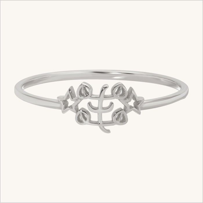 Petite Cut Out Baha’i Ringstone Symbol Ring in 14K Gold