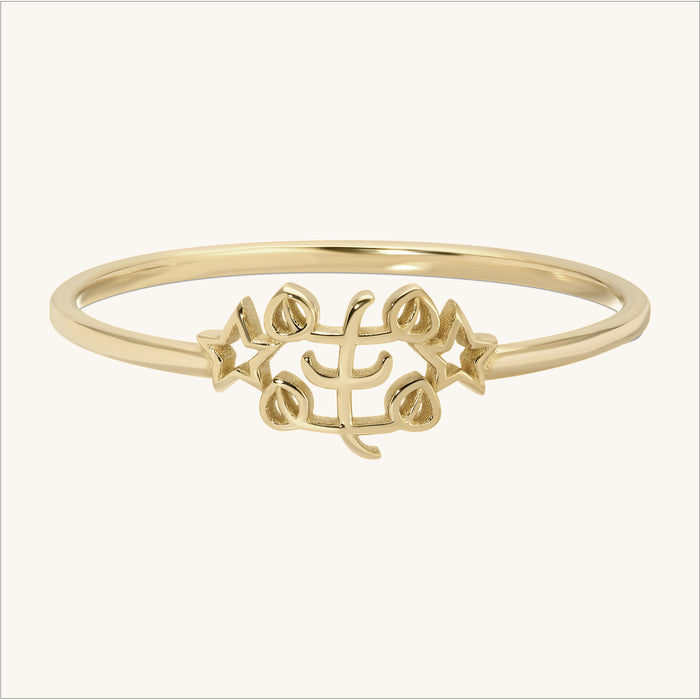 Petite Cut Out Baha’i Ringstone Symbol Ring in 14K Gold